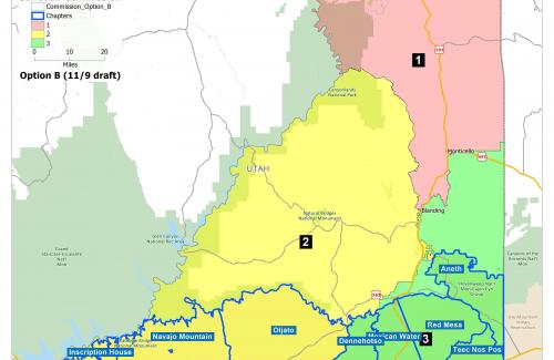 Commission District Option B Map