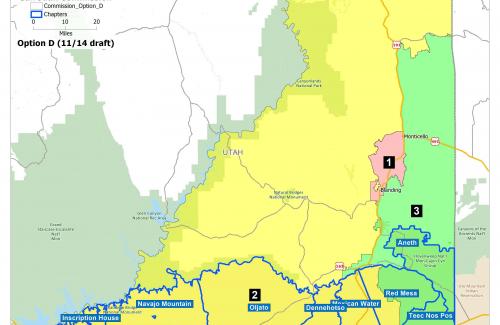 Commission District Option D Map