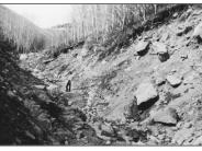 Cooley Gulch Late 1940s