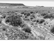 Dry Valley 1994