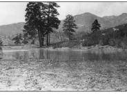 Johnson Creek 1915