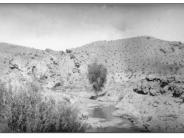 Lower Mill Creek 1938