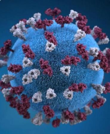 Measles Image