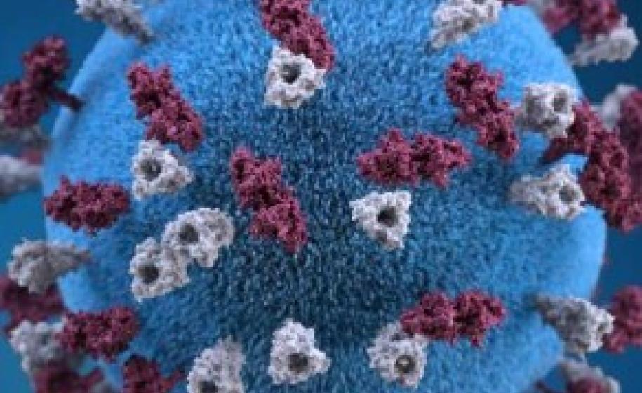 Measles Image